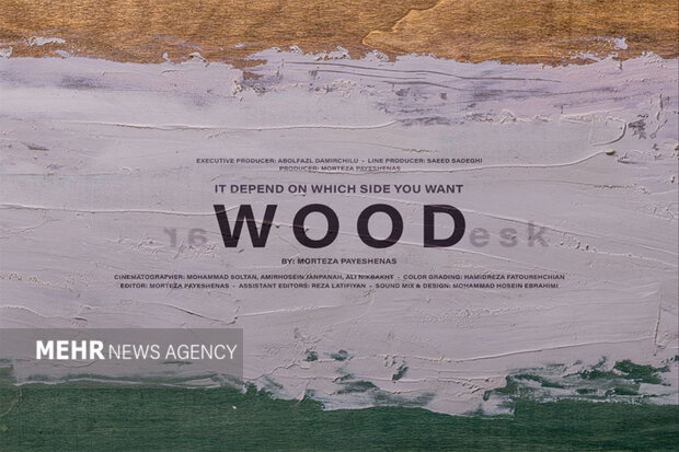آی تیکت نیوز - راهیابی مستند «چوب» به جشنواره‌ فرانسه