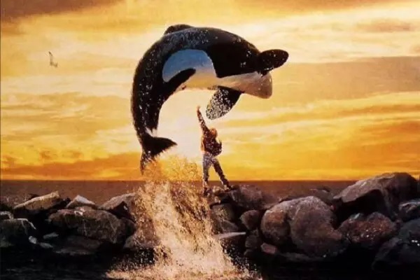 آی تیکت نیوز - «ویلی آزاد» ۳۰ ساله شد/فیلمی که نگاه جهان به نهنگ‌ها را تغییر داد