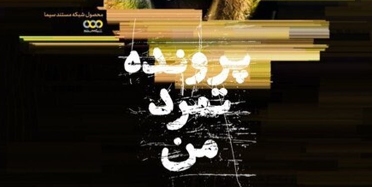آی تیکت نیوز - با سینما حقیقت| مستندسازی ‌که خود سوژه اصلی یک مستند مطالبه‌گر شد