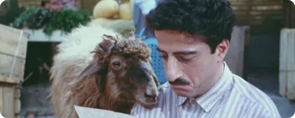 آپارتمان شماره 13