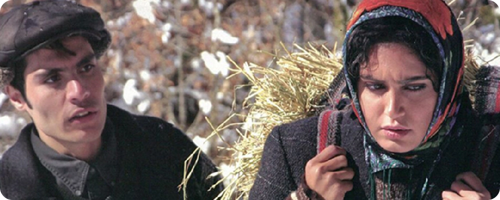باد در علفزار می‌پیچد