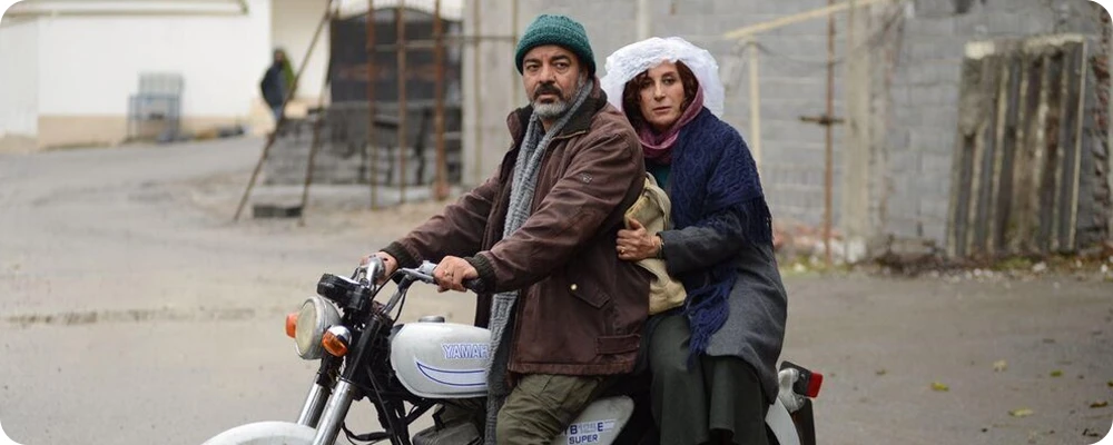بنفشه ی آفریقایی
