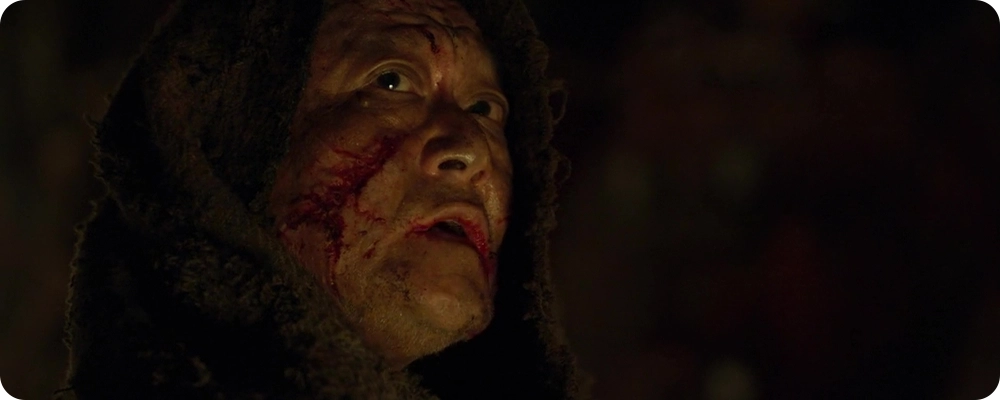 The Wailing (2016)
