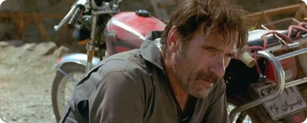 آواز گنجشک ها