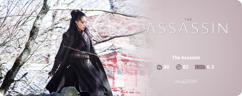 The Assassin (2015)