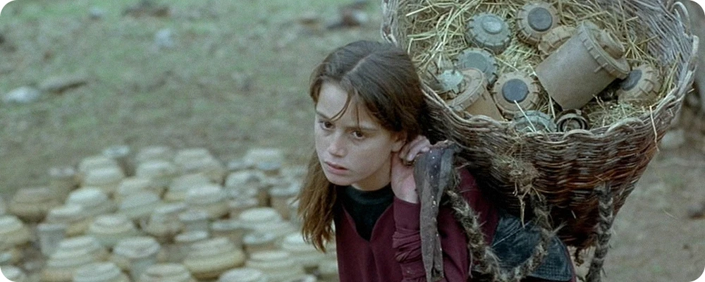 لاک پشت ها هم پرواز می کنند